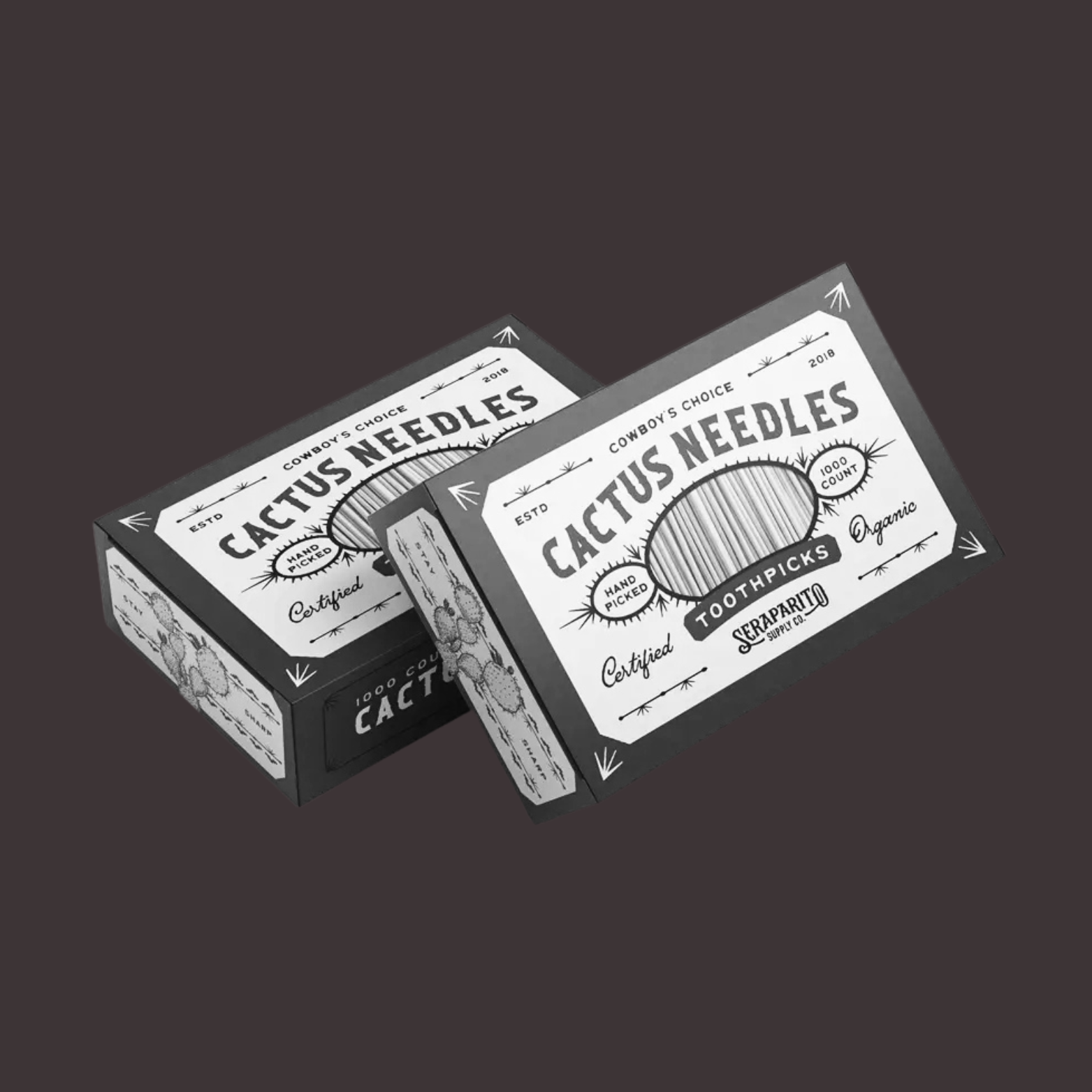 Cactus Needle Toothpicks